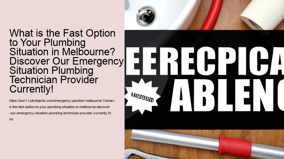 What is the Fast Option to Your Plumbing Situation in Melbourne? Discover Our Emergency Situation Plumbing Technician Provider Currently!