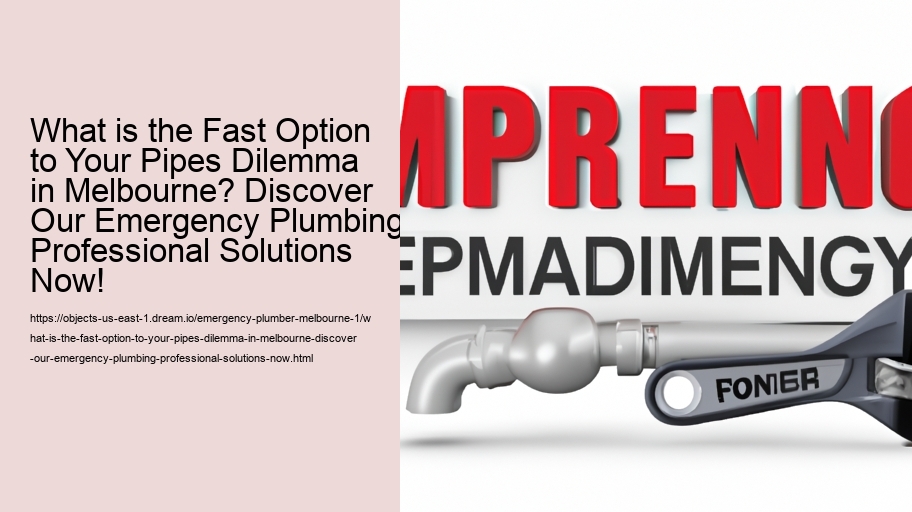 What is the Fast Option to Your Pipes Dilemma in Melbourne? Discover Our Emergency Plumbing Professional Solutions Now!