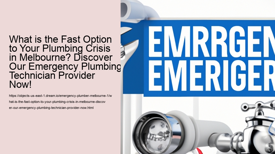 What is the Fast Option to Your Plumbing Crisis in Melbourne? Discover Our Emergency Plumbing Technician Provider Now!