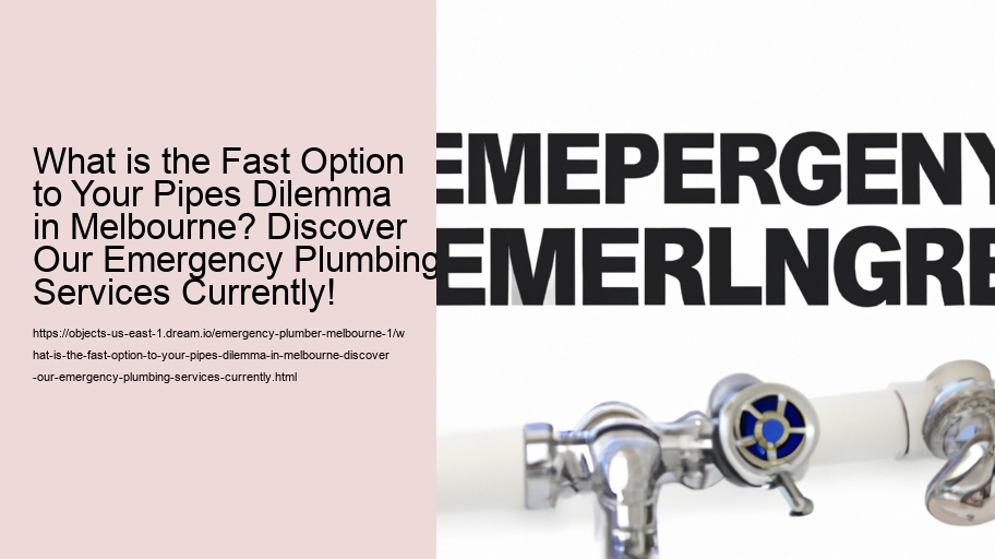 What is the Fast Option to Your Pipes Dilemma in Melbourne? Discover Our Emergency Plumbing Services Currently!