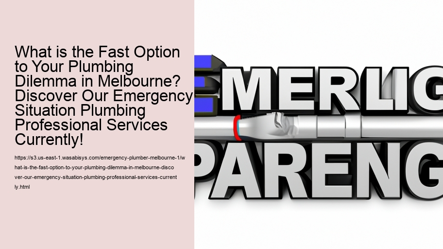 What is the Fast Option to Your Plumbing Dilemma in Melbourne? Discover Our Emergency Situation Plumbing Professional Services Currently!