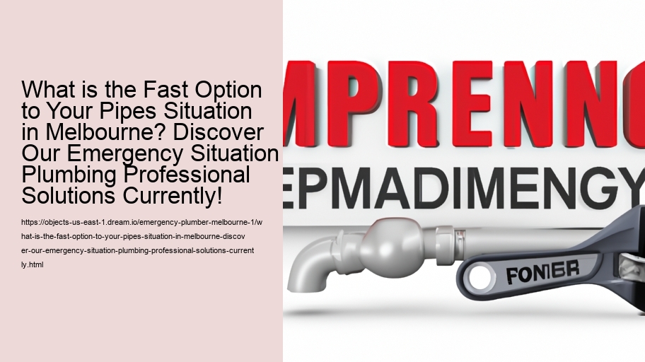 What is the Fast Option to Your Pipes Situation in Melbourne? Discover Our Emergency Situation Plumbing Professional Solutions Currently!