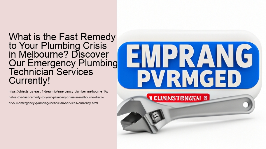What is the Fast Remedy to Your Plumbing Crisis in Melbourne? Discover Our Emergency Plumbing Technician Services Currently!