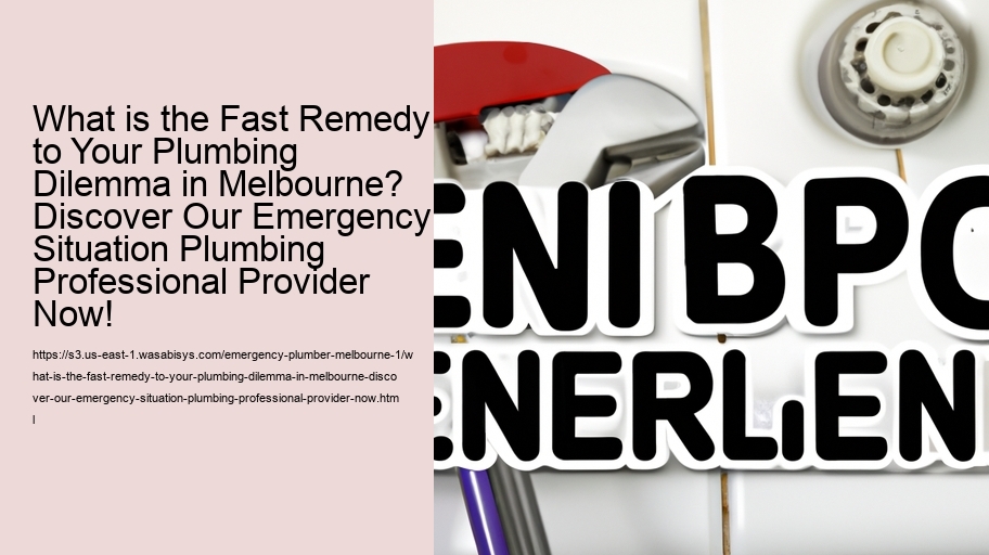 What is the Fast Remedy to Your Plumbing Dilemma in Melbourne? Discover Our Emergency Situation Plumbing Professional Provider Now!