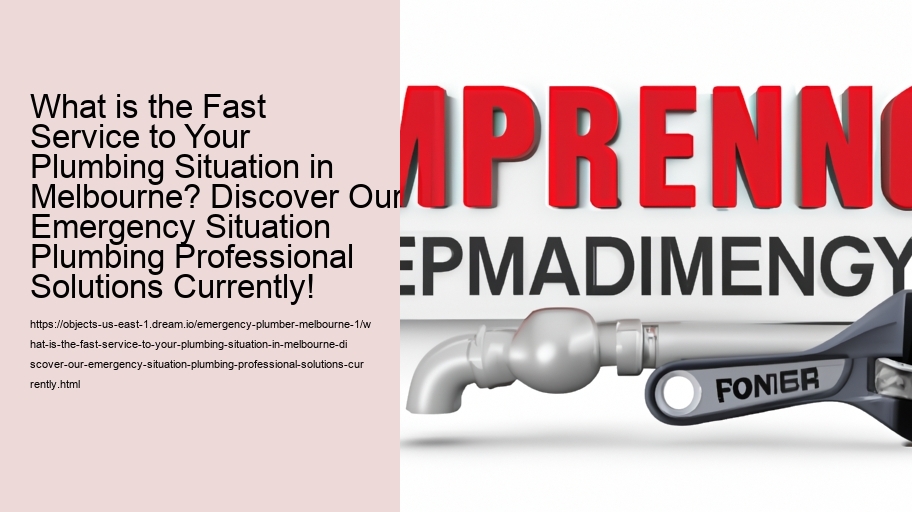 What is the Fast Service to Your Plumbing Situation in Melbourne? Discover Our Emergency Situation Plumbing Professional Solutions Currently!