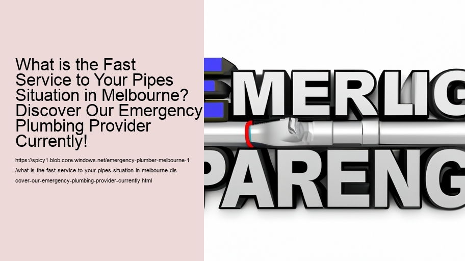 What is the Fast Service to Your Pipes Situation in Melbourne? Discover Our Emergency Plumbing Provider Currently!