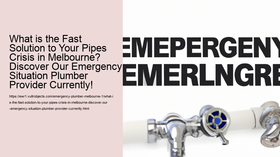 What is the Fast Solution to Your Pipes Crisis in Melbourne? Discover Our Emergency Situation Plumber Provider Currently!