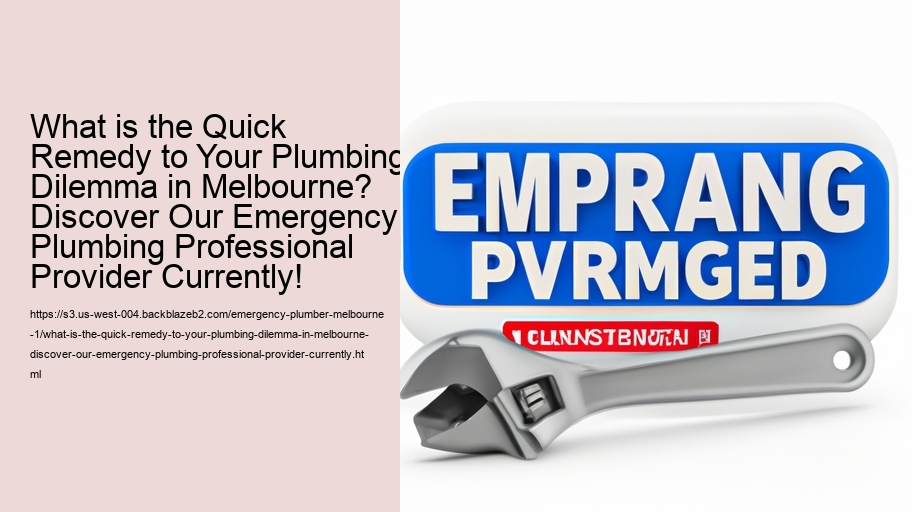 What is the Quick Remedy to Your Plumbing Dilemma in Melbourne? Discover Our Emergency Plumbing Professional Provider Currently!