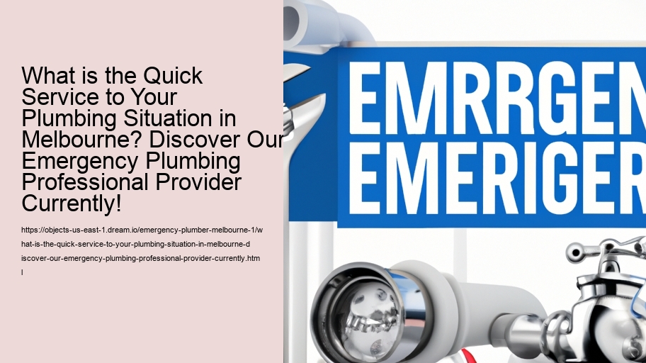 What is the Quick Service to Your Plumbing Situation in Melbourne? Discover Our Emergency Plumbing Professional Provider Currently!