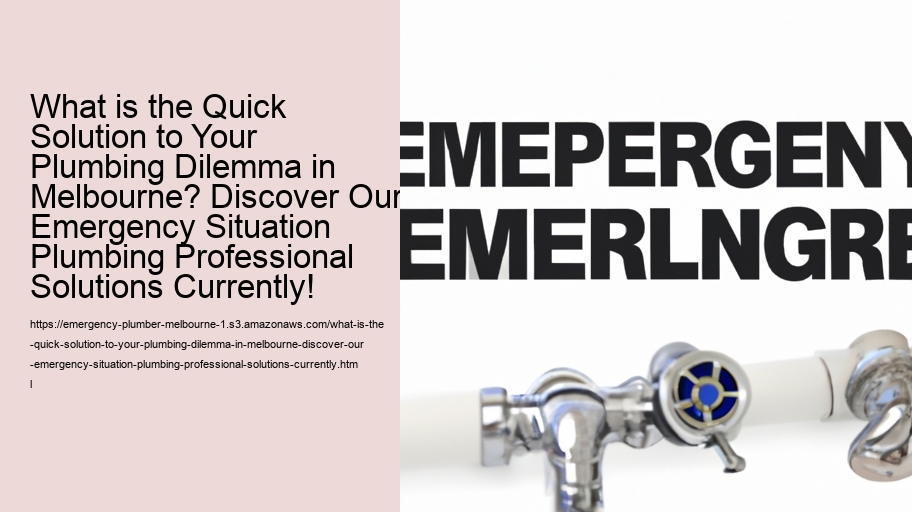 What is the Quick Solution to Your Plumbing Dilemma in Melbourne? Discover Our Emergency Situation Plumbing Professional Solutions Currently!