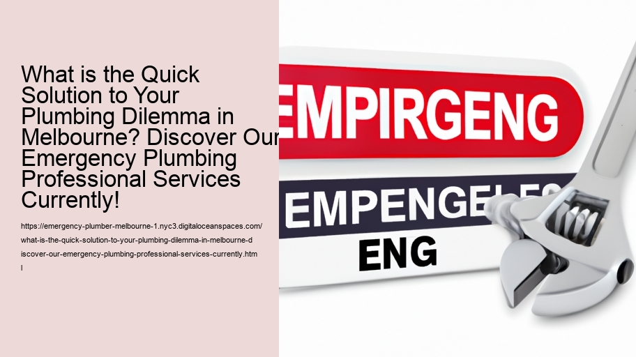 What is the Quick Solution to Your Plumbing Dilemma in Melbourne? Discover Our Emergency Plumbing Professional Services Currently!