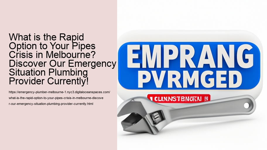 What is the Rapid Option to Your Pipes Crisis in Melbourne? Discover Our Emergency Situation Plumbing Provider Currently!