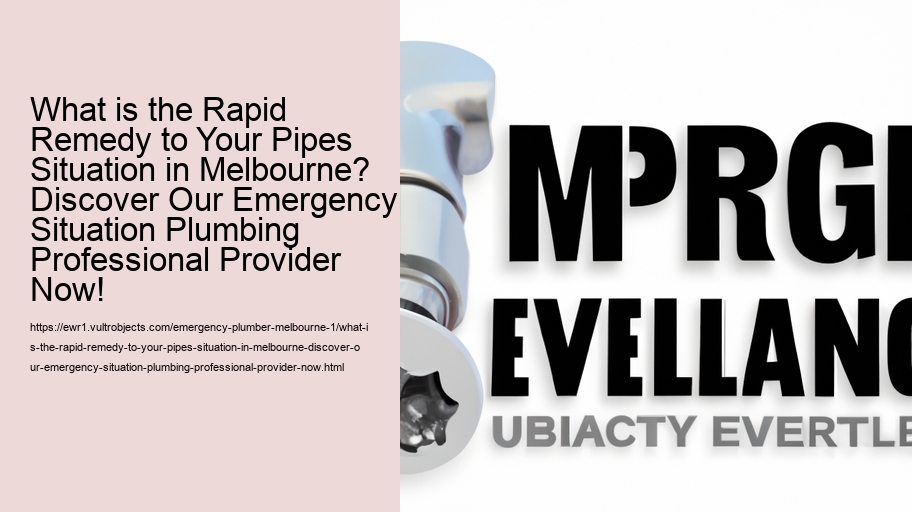 What is the Rapid Remedy to Your Pipes Situation in Melbourne? Discover Our Emergency Situation Plumbing Professional Provider Now!