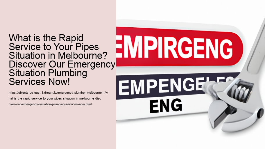 What is the Rapid Service to Your Pipes Situation in Melbourne? Discover Our Emergency Situation Plumbing Services Now!