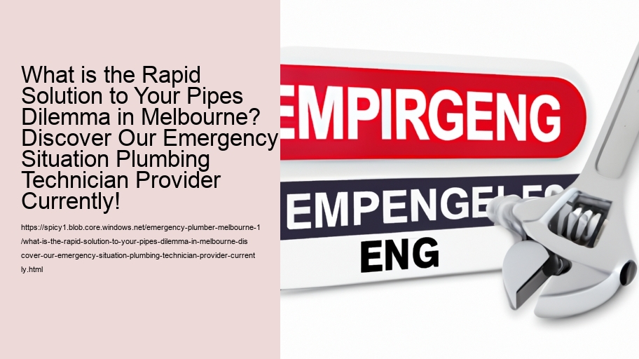 What is the Rapid Solution to Your Pipes Dilemma in Melbourne? Discover Our Emergency Situation Plumbing Technician Provider Currently!